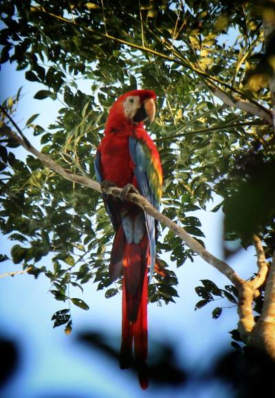 10658802_10152695445055449_8076417109473889700_o